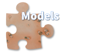 Models