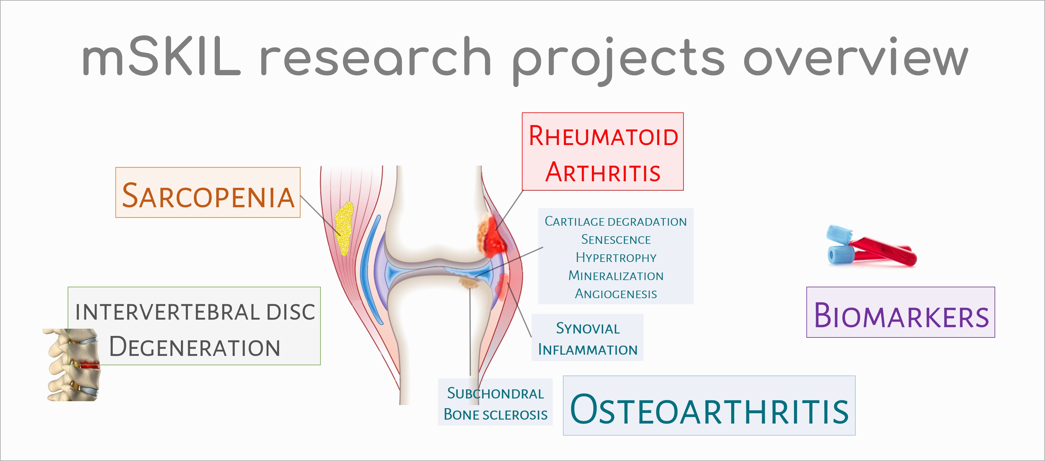 mSKIL research projects overview